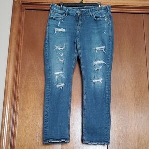 Classic Distressed Skinny Jeans